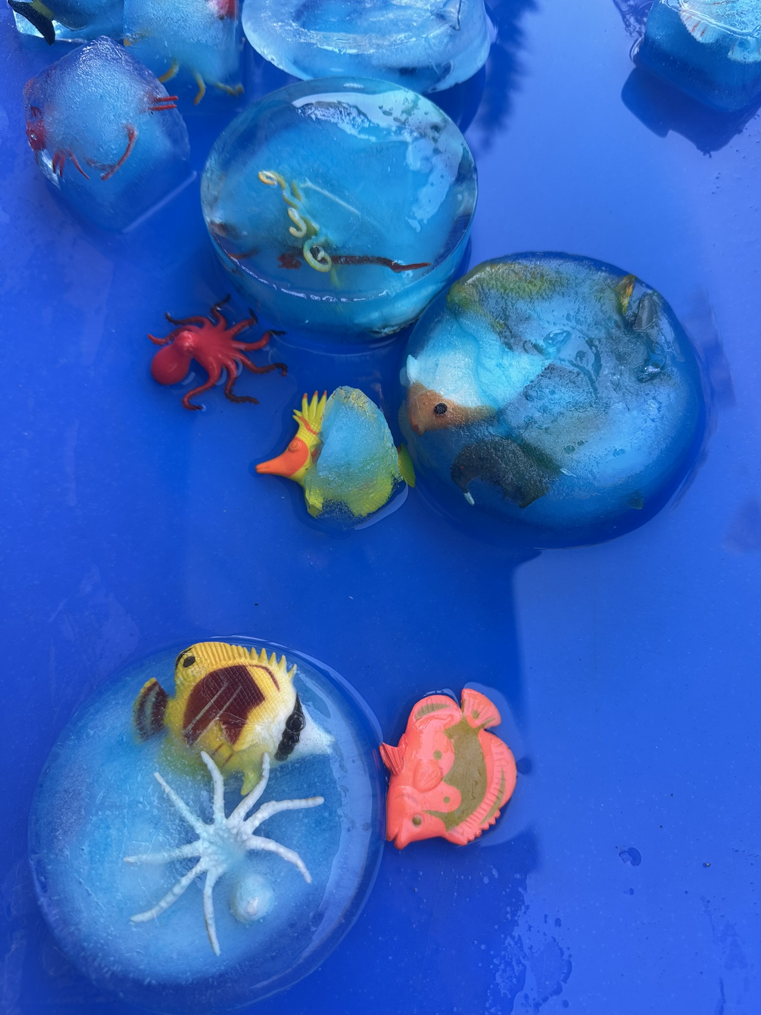 Frozen sea creature discovery play at Butterflies Academy summer camp